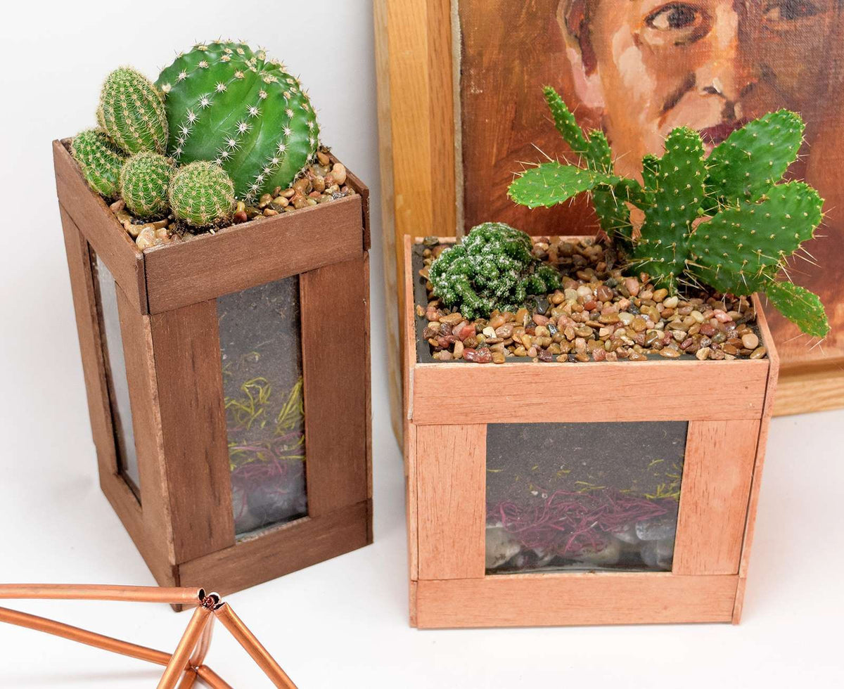How to Glue Wood to Glass - Simple Cactus Terarriums