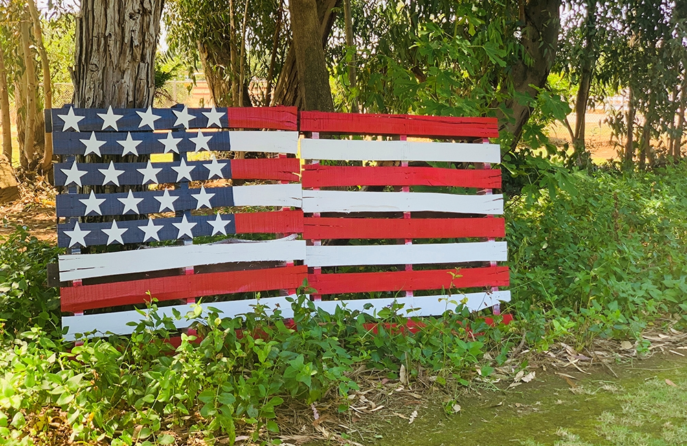 Pallet Project Idea: American Flag