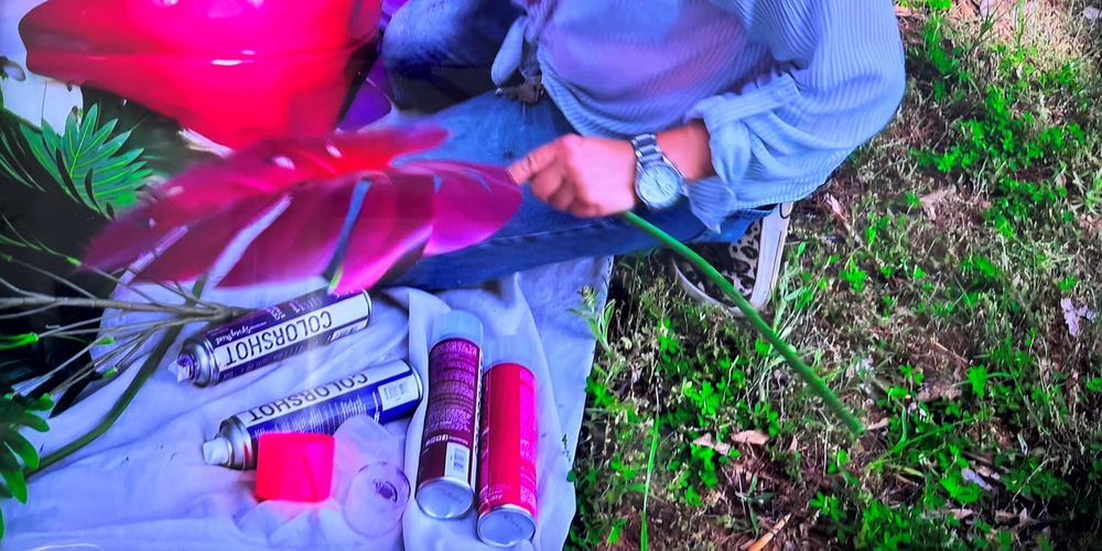 COLORSHOT Makes a Splash on HGTV’s “Lil Jon Wants To Do What?”