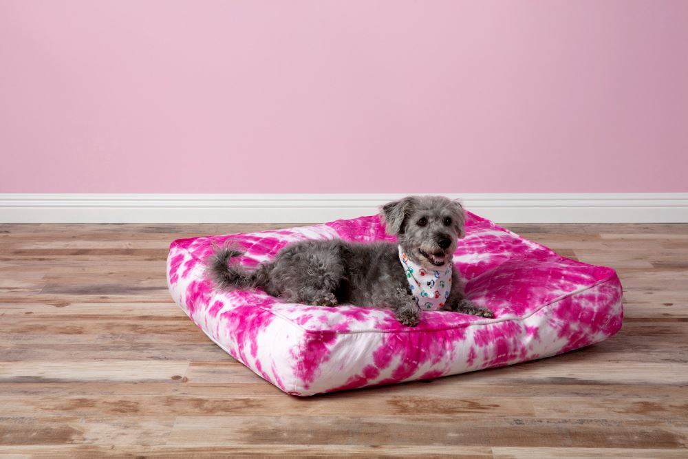 How To Tie Dye a Dog Bed