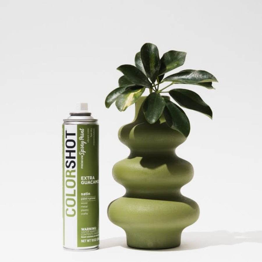COLORSHOT Spray Paint