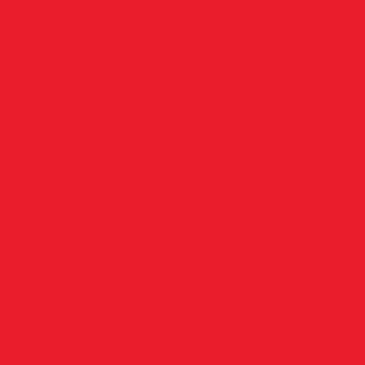 Picture of 42740 Tulip® Permanent Fabric Dye Bright Red