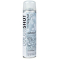 COLORSHOT Glitter Spray Paint Paparazzi (Silver) 8 oz.