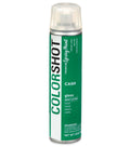 COLORSHOT Gloss Spray Paint Cash (Green) 10 oz.