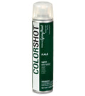 COLORSHOT Satin Spray Paint Kale (Dark Green) 10 oz.