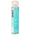 COLORSHOT Gloss Spray Paint Island Girl (Mint) 10 oz.
