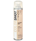 COLORSHOT Satin Spray Paint Skinny Dip (Beige) 10 oz.