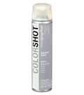 COLORSHOT Gloss Spray Paint Rainy Day (Light Gray) 10 oz.
