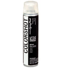 COLORSHOT Gloss Spray Paint Little Black Dress (Black) 10 oz.