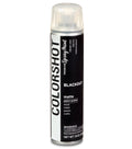 COLORSHOT Matte Spray Paint Blackout (Black) 10 oz.