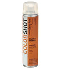 COLORSHOT Metallic Spray Paint Lucky Penny (Copper) 9 oz.