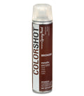 COLORSHOT Metallic Spray Paint Bronzer(Brown Metallic) 9 oz.