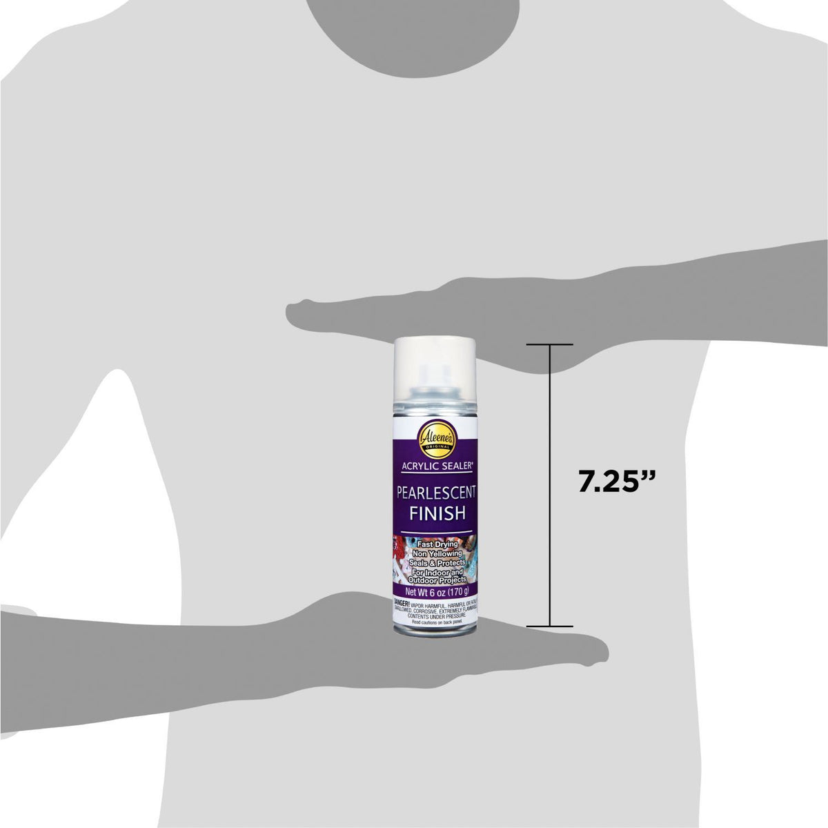 Picture of 45796 Spray Acrylic Sealer Pearlescent Finish 6 oz.